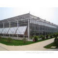 tomato agricultural glass greenhouse planting